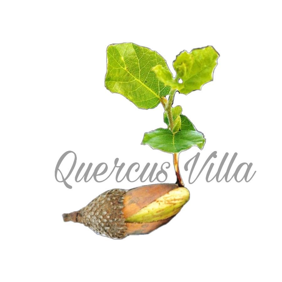 Quercus Villa Сесимбра Екстериор снимка